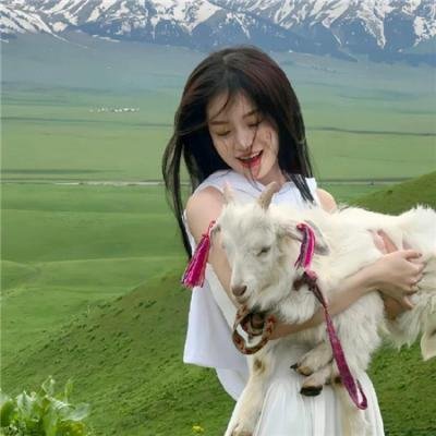 同期的小樱